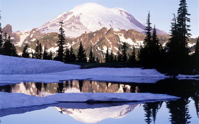 雷尼尔山，Tipsoo湖，山，树，雪，华盛顿，美国 壁纸 图片