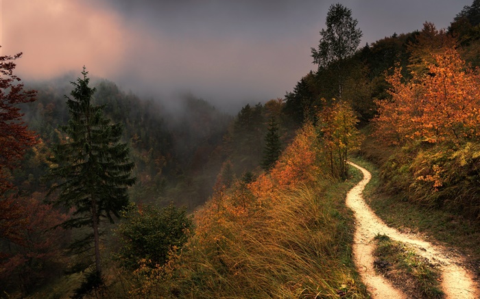 山，雾，树木，人行道，秋季 壁纸 图片