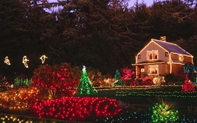 夜晚，五彩的灯光，房子，圣诞 高清壁纸