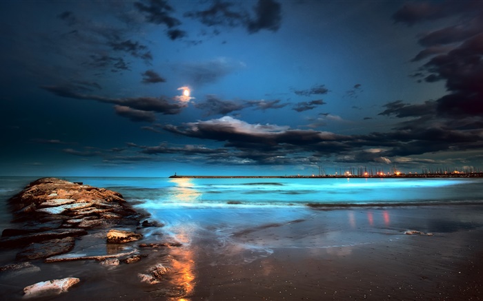 夜晚，灯光，月亮，云，海，码头 壁纸 图片