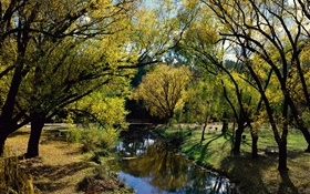 公园，河流，树木，澳大利亚