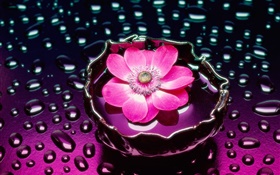 粉红色花朵的特写，水滴
