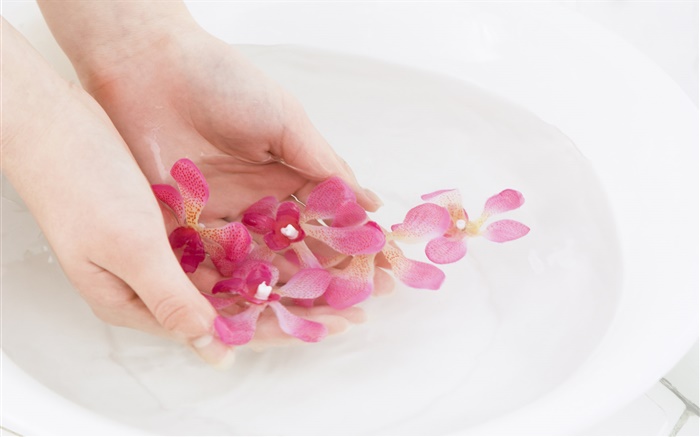 粉红色的兰花花瓣，水，手 壁纸 图片