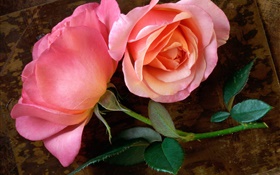 粉红色的玫瑰花在木板上 高清壁纸