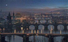 布拉格，捷克共和国，桥梁，河流，房屋，夜，灯 高清壁纸