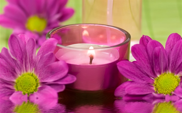 紫色的菊花，蜡烛，火，SPA主题 壁纸 图片