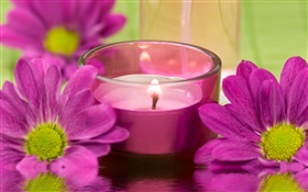 紫色的菊花，蜡烛，火，SPA主题 高清壁纸