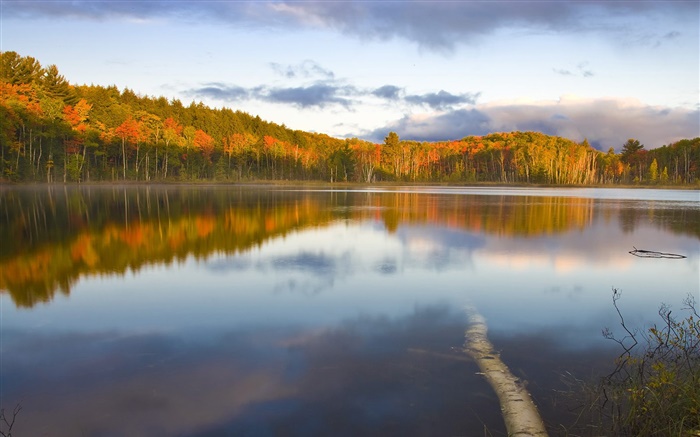 宁静的湖泊，树木，雾，早晨，秋 壁纸 图片