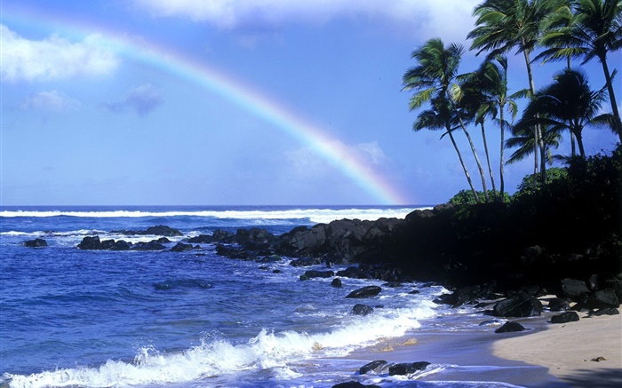 彩虹，蓝色的海，海岸，棕榈树，夏威夷，美国 壁纸 图片