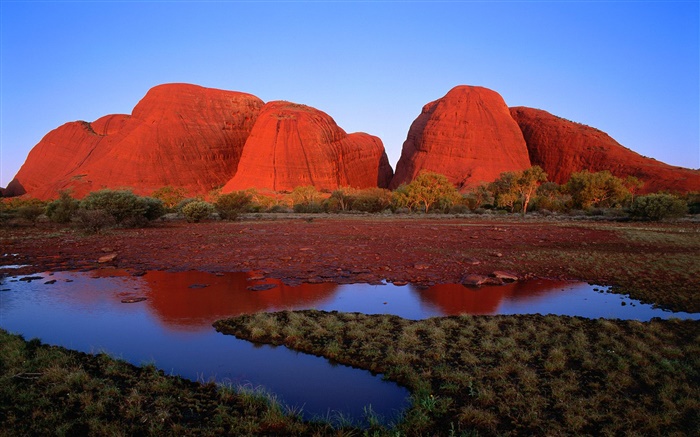 红岩山，水，草，黄昏，澳大利亚 壁纸 图片
