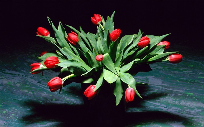 红色的郁金香花，花束，花瓶 壁纸 图片