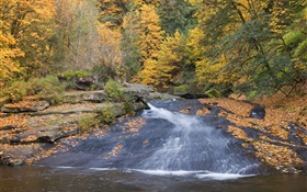 河，树木，秋天 高清壁纸