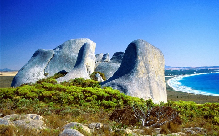 岩石，草，海岸，碧海，澳大利亚 壁纸 图片
