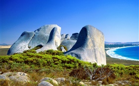 岩石，草，海岸，碧海，澳大利亚