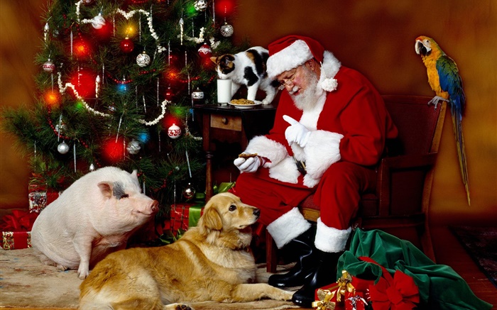 圣诞老人和动物，圣诞灯饰 壁纸 图片