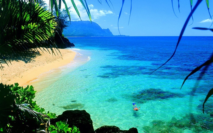 大海，清澈的海水，海岸，游泳，夏威夷，美国 壁纸 图片