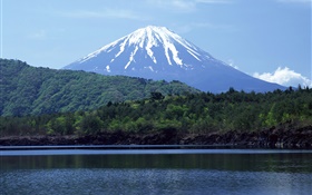 海洋，森林，富士山，日本 高清壁纸