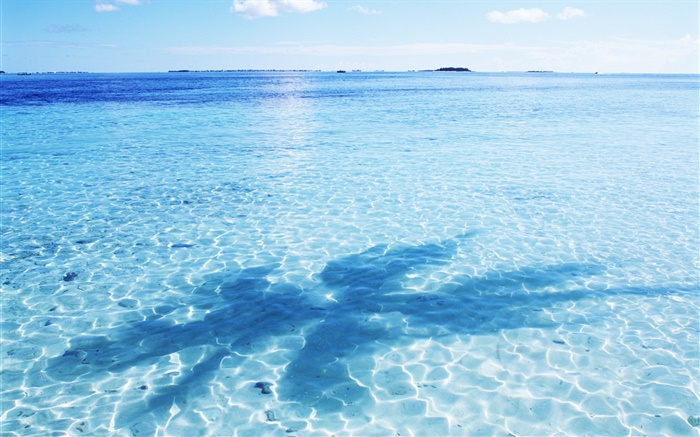 海，水蓝色，眩光，波浪，阴影，马尔代夫 壁纸 图片