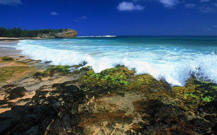 海浪，海岸，黄昏，夏威夷，美国 壁纸 图片