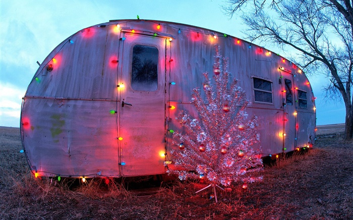 简单的房子，节日灯，圣诞树 壁纸 图片