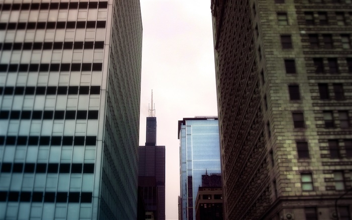 摩天大楼，城市区域视图 壁纸 图片