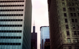 摩天大楼，城市区域视图 高清壁纸