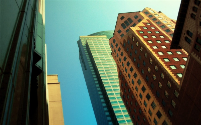 摩天大楼，抬头，城市 壁纸 图片