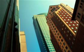 摩天大楼，抬头，城市 高清壁纸