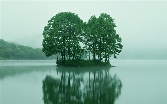 小岛屿在湖中心，绿树成荫，东京，日本 壁纸 图片