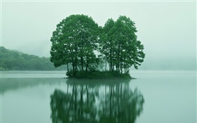 小岛屿在湖中心，绿树成荫，东京，日本