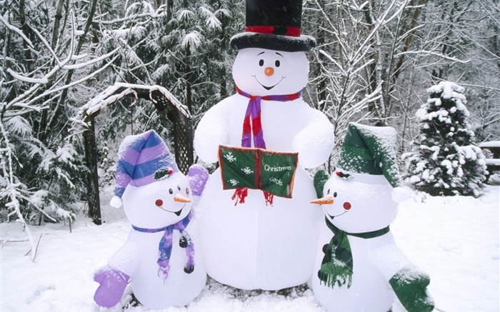 雪人，雪，冬天，圣诞节 壁纸 图片
