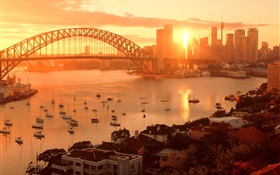 澳大利亚悉尼市的日落，桥梁，河流，建筑物，温暖的阳光