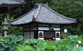日本东京，庭园，寺庙，荷花池 高清壁纸