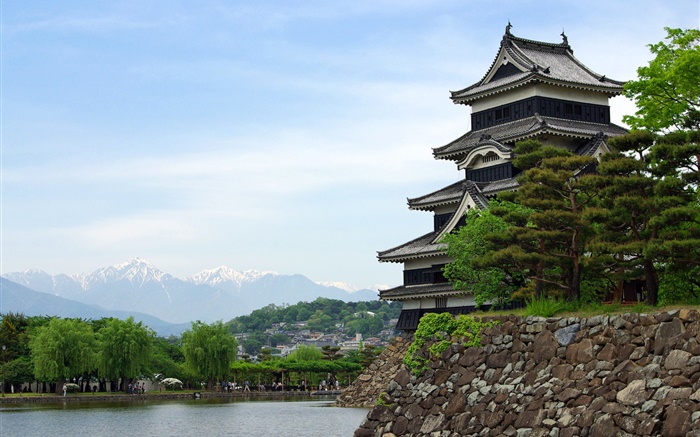 前往日本东京，公园，湖泊，寺庙 壁纸 图片