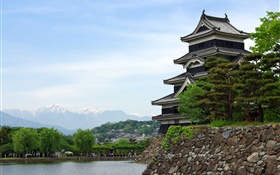 前往日本东京，公园，湖泊，寺庙 高清壁纸