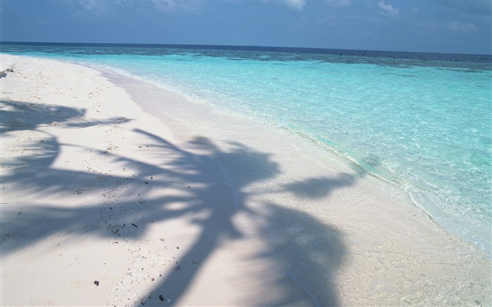 树的影子，马尔代夫，沙滩，大海，海浪 壁纸 图片