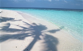 树的影子，马尔代夫，沙滩，大海，海浪 高清壁纸