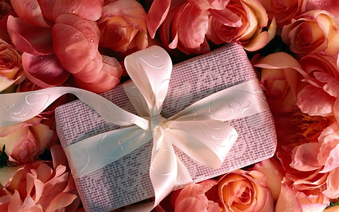 情人节礼物，玫瑰鲜花 壁纸 图片