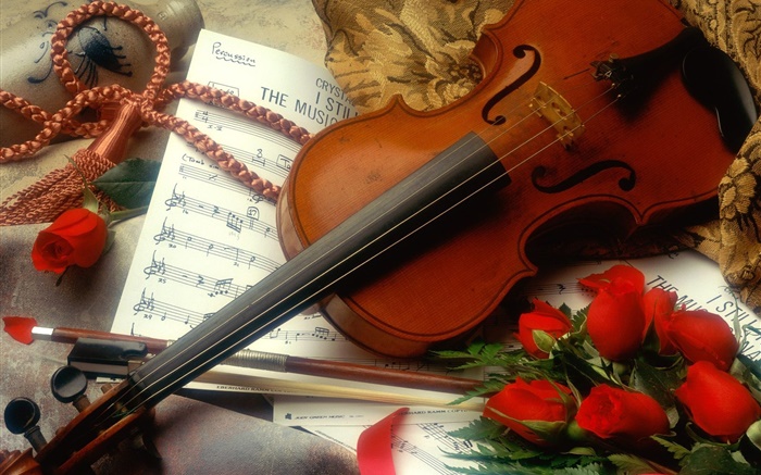小提琴，红玫瑰花，乐谱 壁纸 图片