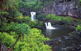 瀑布，小溪，水，岩石，植物，夏威夷，美国 高清壁纸