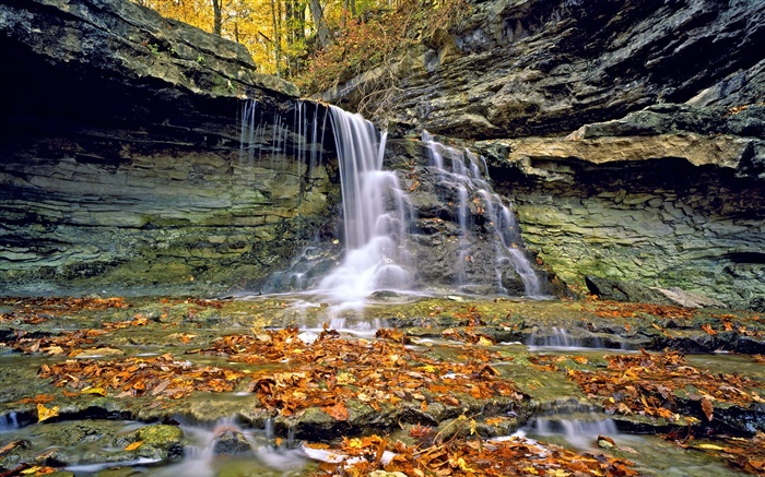 瀑布，岩石，红叶，秋 壁纸 图片