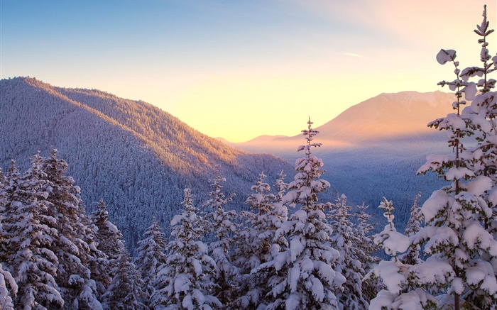冬季，山，雪，树木，日落 壁纸 图片