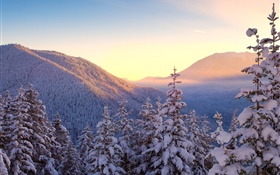 冬季，山，雪，树木，日落 高清壁纸
