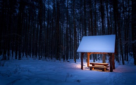 冬季，树木，凉亭，雪，夜晚，光 高清壁纸