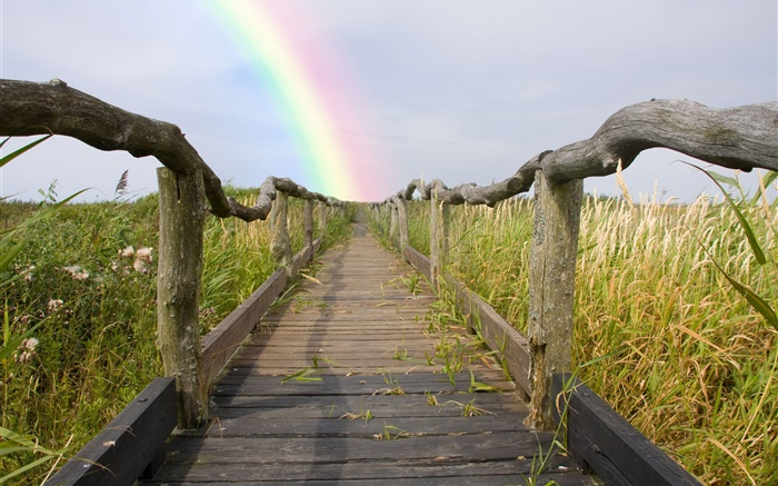木步道，护栏，草，彩虹，夏天 壁纸 图片