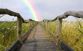 木步道，护栏，草，彩虹，夏天