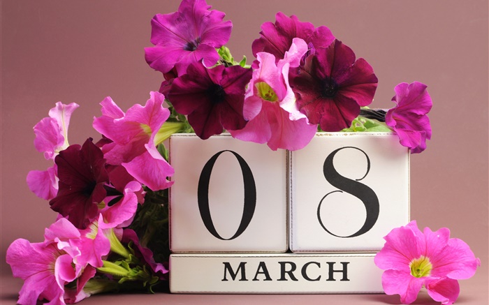 3月8日，妇女节，粉红色的矮牵牛花，日期 壁纸 图片