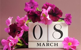 3月8日，妇女节，粉红色的矮牵牛花，日期