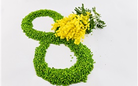 3月8日，妇女节，黄色的花，含羞草 高清壁纸