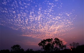 美丽的夕阳，天空，云，树剪影 高清壁纸